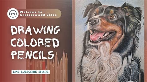 Drawing Bernese Mountain Dog The Sweetest Souls To Walk The Earth