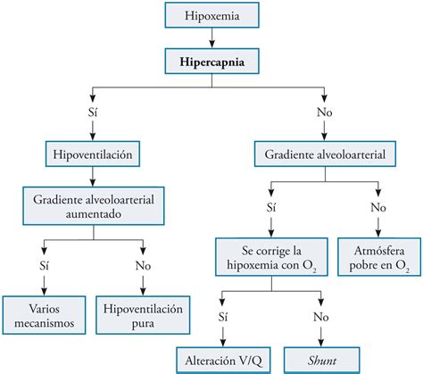 Algoritma Hipokalemia