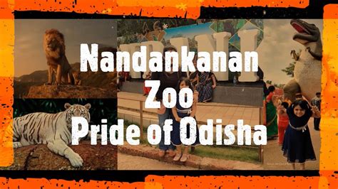 Nandankanan Zoo Tour Botanical Garden Largest Zoo Animals