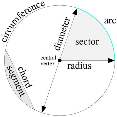 Parts Of The Circle By Xsapien Parts Of The Circle Diagram On