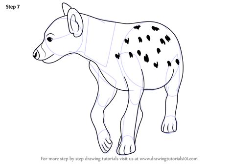 Learn How To Draw A Hyena Wild Animals Step By Step Drawing Tutorials
