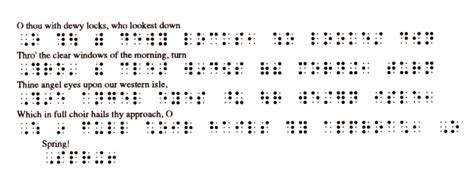 Duxbury Braille Translator Visionaid