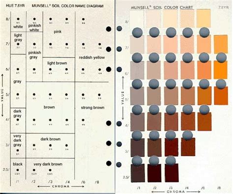 Munsell Soil Colour Chart Sureserv Engineering Sdn Bhd