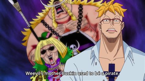 Marco Talks About Whitebeard Son Edward Weevil One Piece Episode 890
