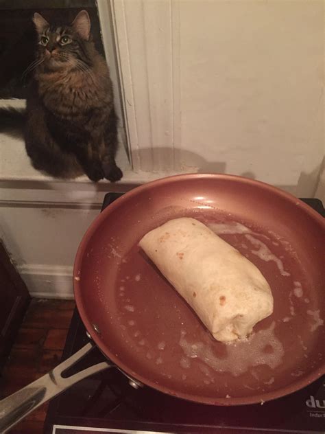 Cooking A Burrito With My Cat Rhappy