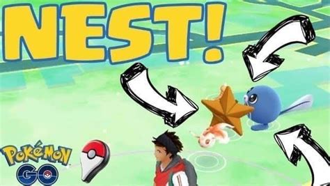Pokemon Go Nests And Best Locations To Find Them Pokemon Go Pokemon