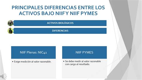 Principales Diferencias Entre Los Activos Bajo Niif Y Niif Pymes Youtube