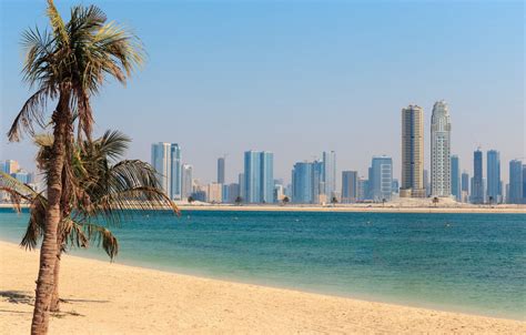 The Walk At Jumeirah Beach Residence In Deira Dubai Uae
