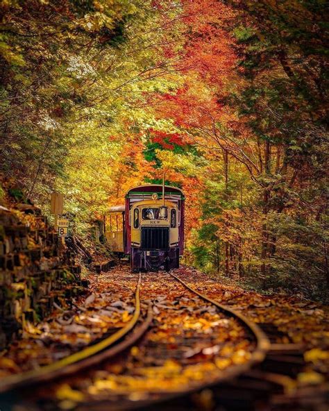 Visit Japan Americas On Instagram The Fall Foliage At The Akasawa