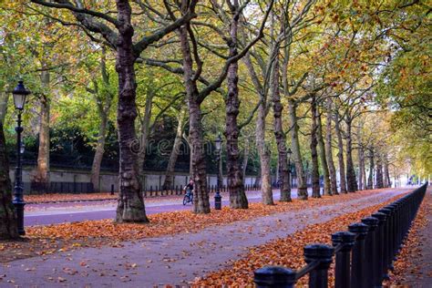 Hyde Park One Of London S Eight Royal Parks Stock Image Image Of