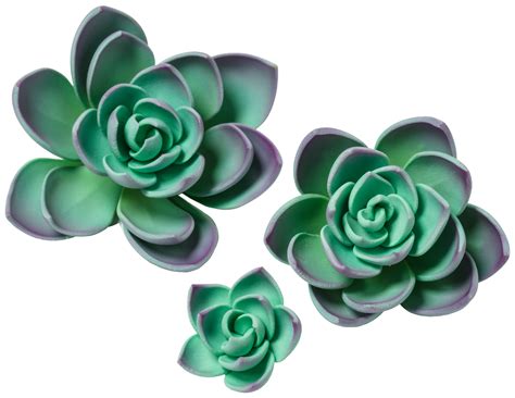 I did manage to keep them alive until last fall. Purple Succulents | Gum Paste Flowers | DecoPac