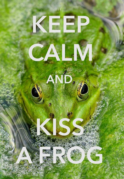 Kissing Frogs Quotes Quotesgram