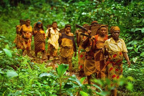 The Protectors Of Forests Humans In Nature