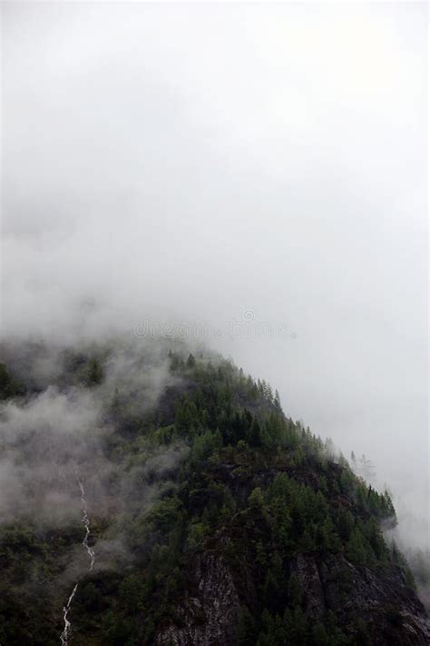 Foggy Clouds Rising From Alpine Mountain Forest Stock Photo Image Of