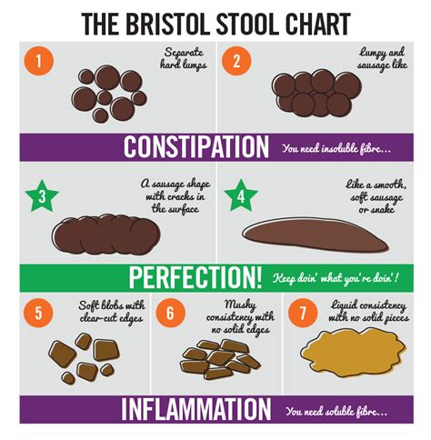 Free 7 Sample Stool Color Chart Templates In Pdf Light Colored Bowel