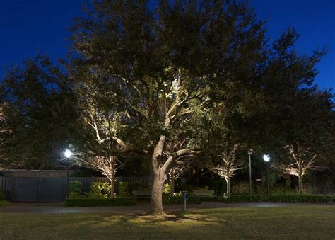 Oak Tree Lighting Archives Moonlighting Landscape Lighting Systems