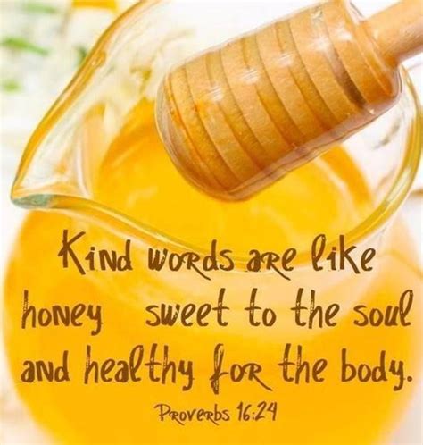 kind words are like honey sweet to the soul and healthy for the body ~ proverbs 16 24