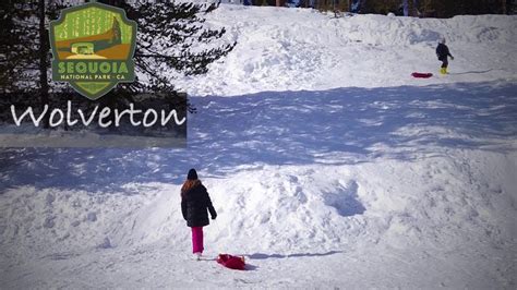 Wolverton Snow Play Area Sequoia National Park Youtube