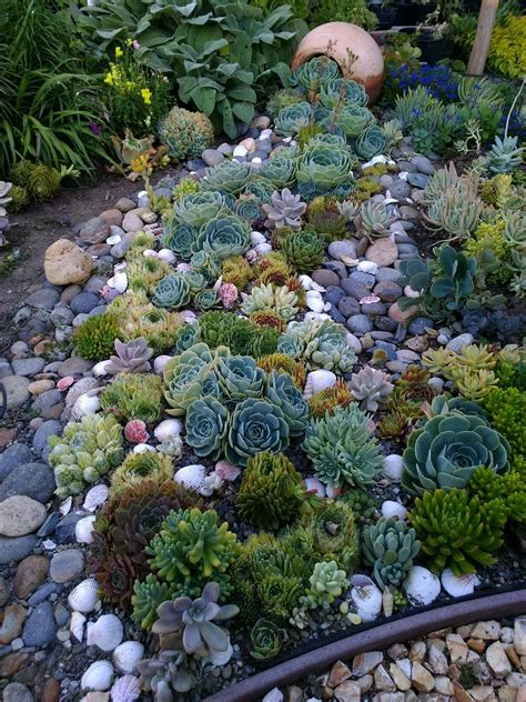 30 Rock Gardens With Succulents Decoomo