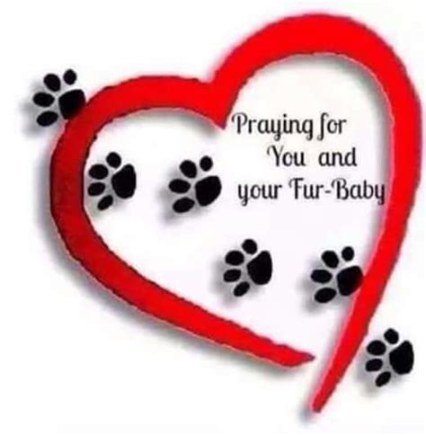 A pets prayer to st. Image result for prayers for sick dog | Sick pets, Prayer ...