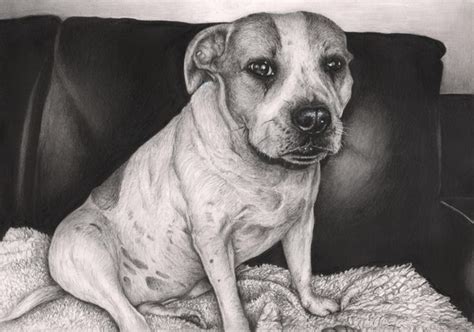 Most relevant best selling latest uploads. 10 Lovely Dog Drawings for Inspiration - Hative