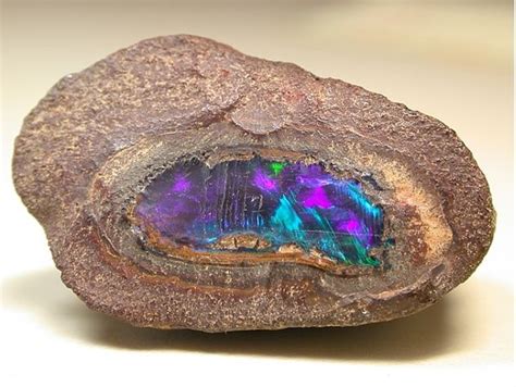 772 Best Images About Opals On Pinterest Idaho Oregon And Fire Opals