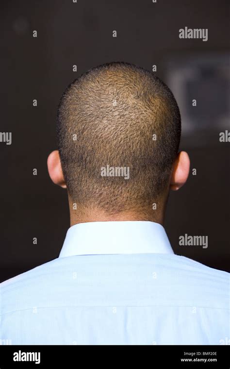 The Back Of A Shaved Head Stock Photo Alamy