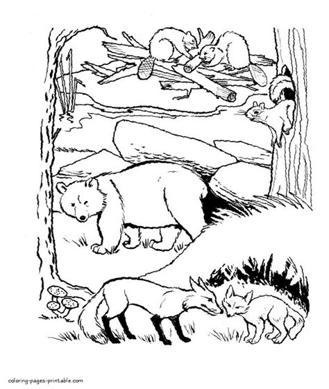 Forest Animals Coloring Page Coloring Pages Printablecom