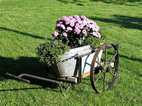 34 Best Wheelbarrow Planter Ideas