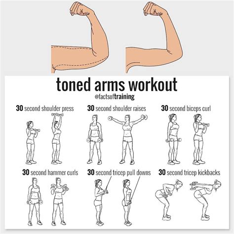Arm Workout Weights