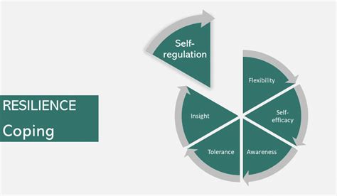 self regulation spark principles for success