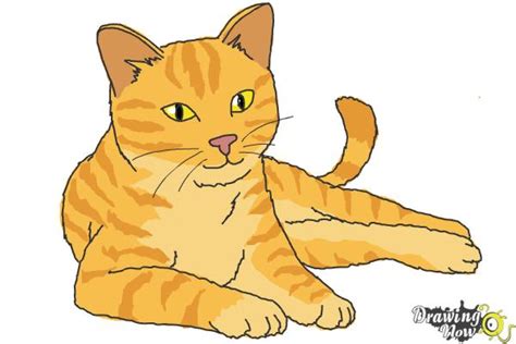37 Cute Orange Cat Drawing Aleya Wallpaper