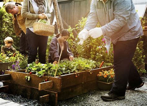 Group Of People Gardening Backyard Premium Photo Rawpixel