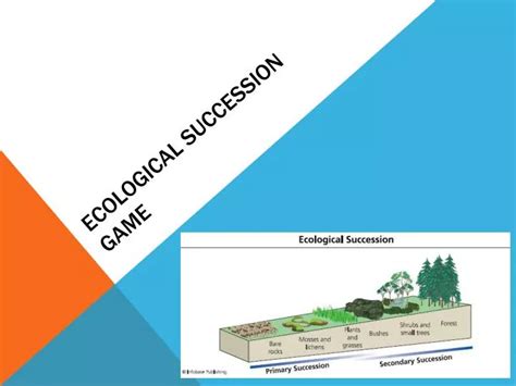 Ppt Ecological Succession Game Powerpoint Presentation Free Download