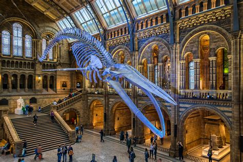 Top 20 Free Things To Do In London Lonely Planet