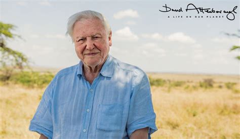 David Attenborough A Life On Our Planet Documentary Streaming Online