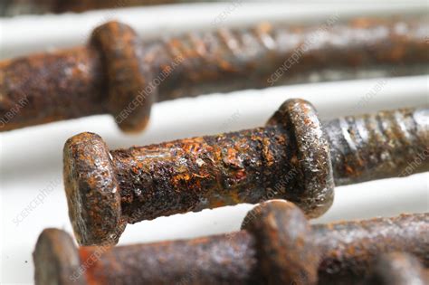 Rusty Nails Stock Image C0173825 Science Photo Library