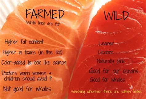 Farmed Vs Wild Salmon With Colour Included Food Salmon Farming Nutrition Recipes