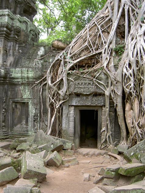 Jungle Temple Free Photo Download Freeimages
