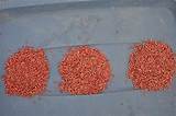 Photos of Importance Seed Treatment