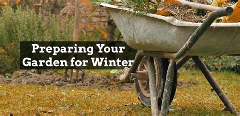 Preparing Your Garden For Winter Healthy Flat