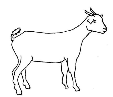 Outline Of Goat Clipart Best