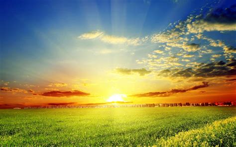 Free Download Spring Morning Wallpapers Top Spring Morning Backgrounds