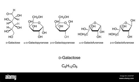 Galactose Gal Monosaccharide Chemical Structure Simple Sugar Natta