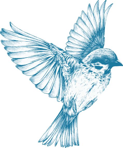 Vintage Blue Bird Png Transparente Stickpng