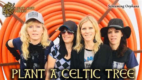 Celtic Music Magazine Plant A Celtic Tree Marc Gunn