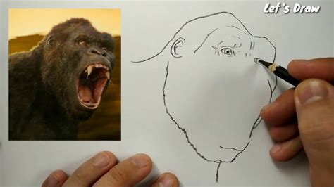 Asmr Drawing King Kong How To Draw King Kong Youtube