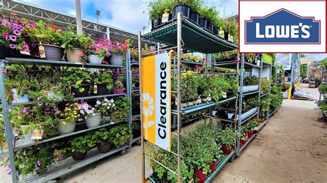 Lowes Garden Center Clearance Shop Lowes Clearance Plants With Me