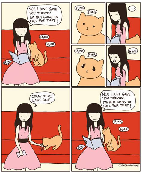 This Comics Perfectly Sums Up A Life With A Cat Pics Izismile