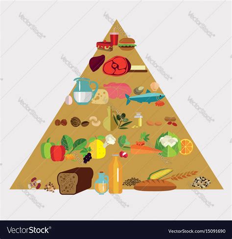 Food Pyramid Royalty Free Vector Image VectorStock